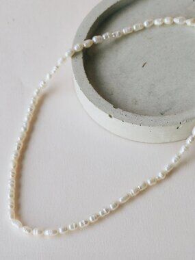 NWT Freshwater Pearl Choker Necklace